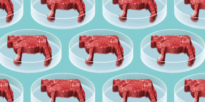 clean meat clean meat