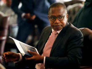 mthuli ncube mthuli ncube
