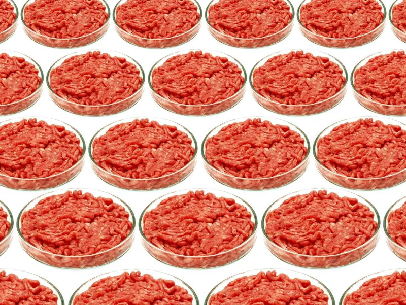 science labgrownmeat ss science labgrownmeat ss