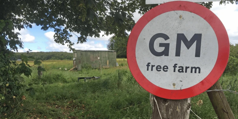 gmo picture gmo picture