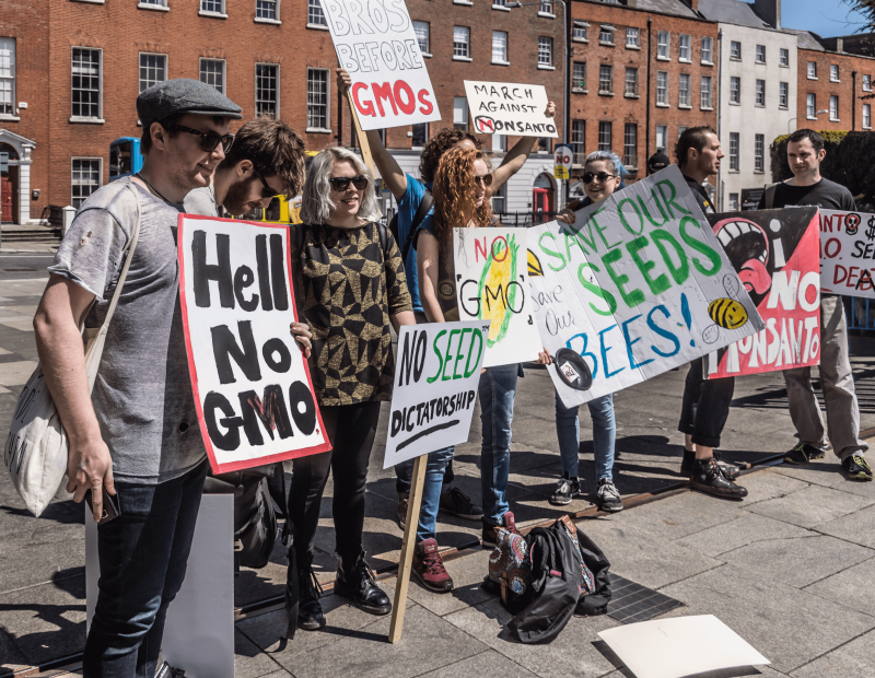 protesting in dublin gmo