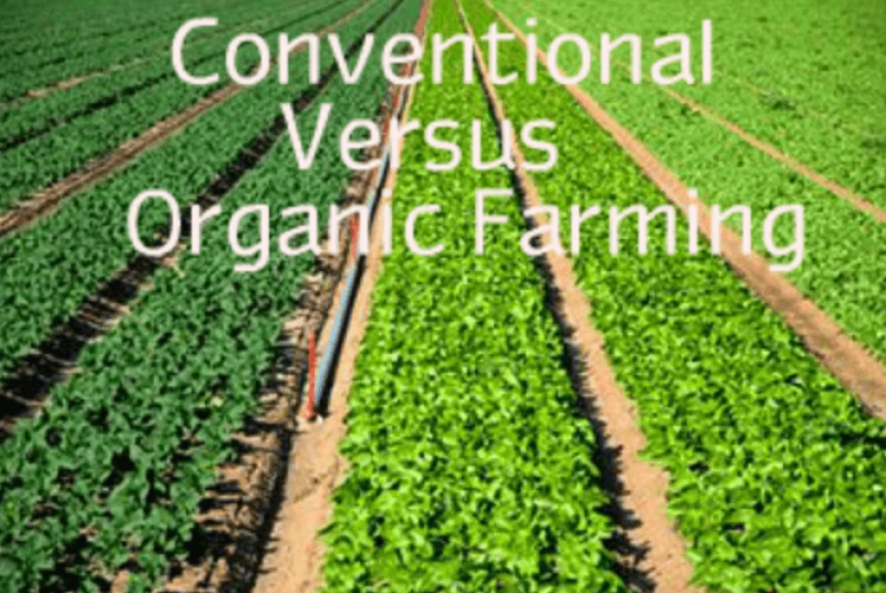 Screenshot 2024-10-06 at 1.23.57 PM