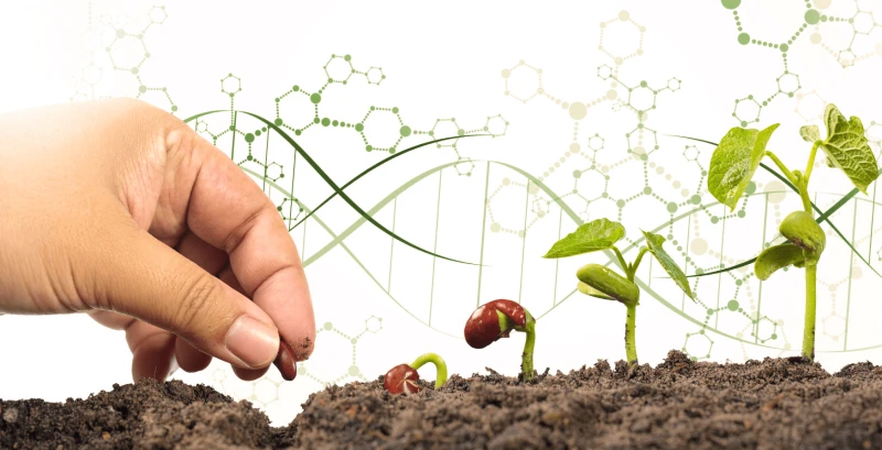 CRISPR-Technology-in-Agriculture CRISPR-Technology-in-Agriculture