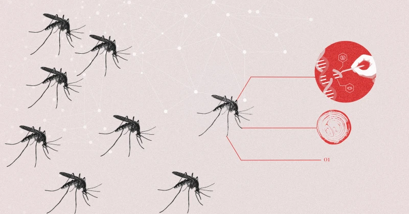 Credit: Reform Austin