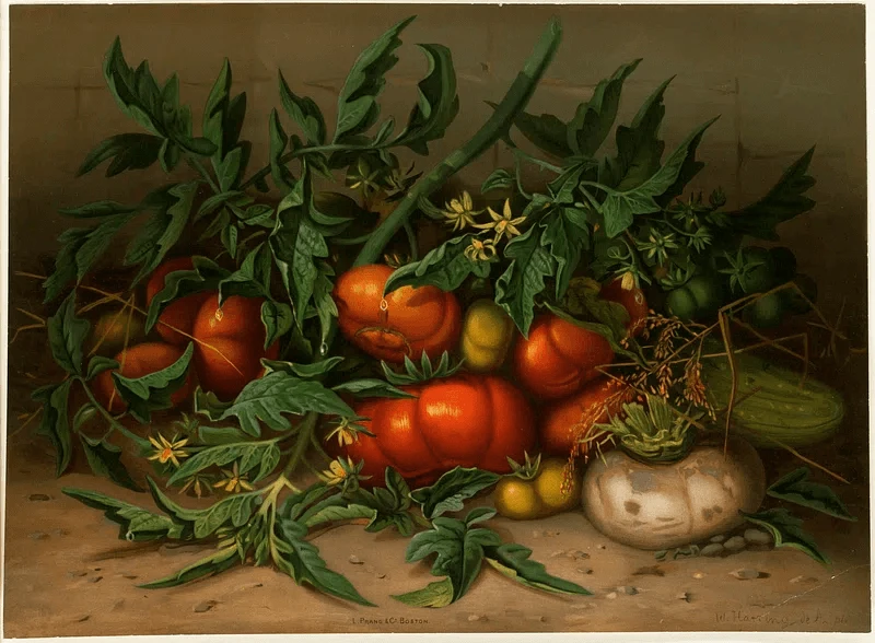 chjpdmf zs sci pbwfnzxmvd vic l zs ymdiylteyl xyl rpz l ywxjd nvbw vbndlywx aho otbyedyydc pbwfnzs qcgc chjpdmf zs sci pbwfnzxmvd vic l zs ymdiylteyl xyl rpz l ywxjd nvbw vbndlywx aho otbyedyydc pbwfnzs qcgc