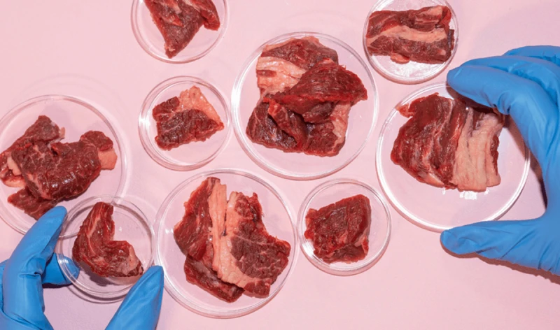 lab grown meat research kelly schultz lehighuniversity main lab grown meat research kelly schultz lehighuniversity main