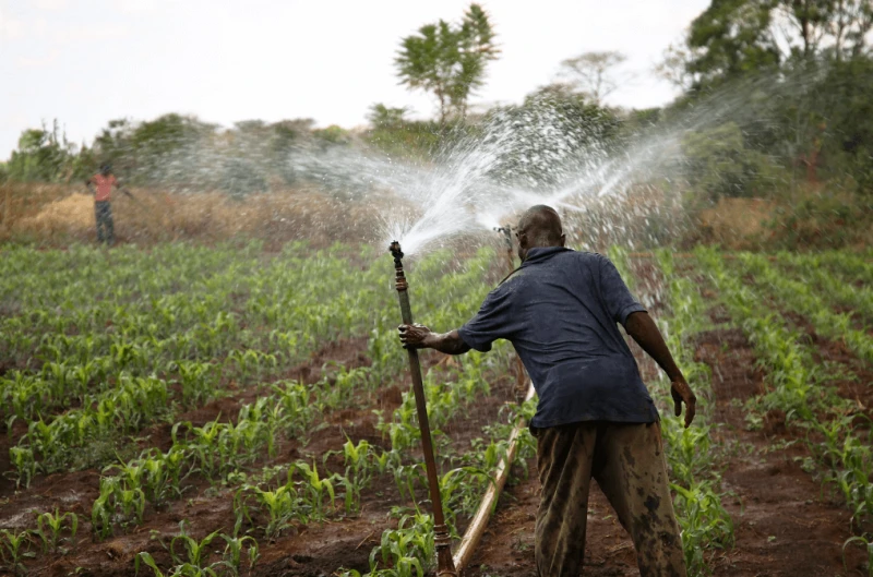 Credit: Melissa Cooperman and IFPRI via CC-BY-NC-ND-2.0