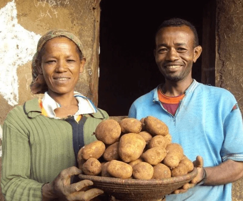 Credit: Catholic Ireland