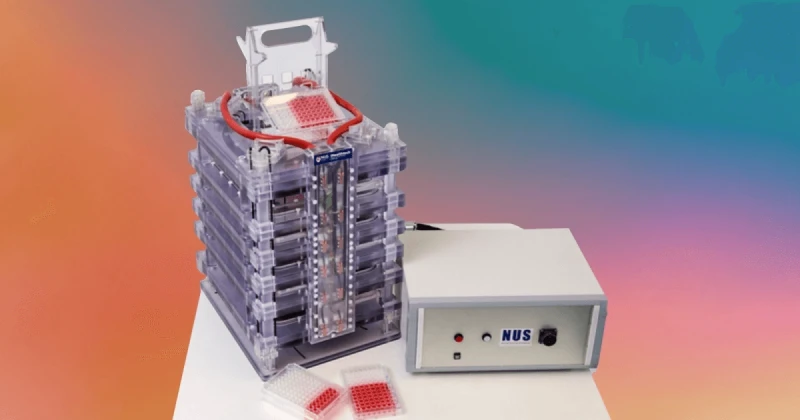 Credit: National University of Singapore/Annelisa Leinbach