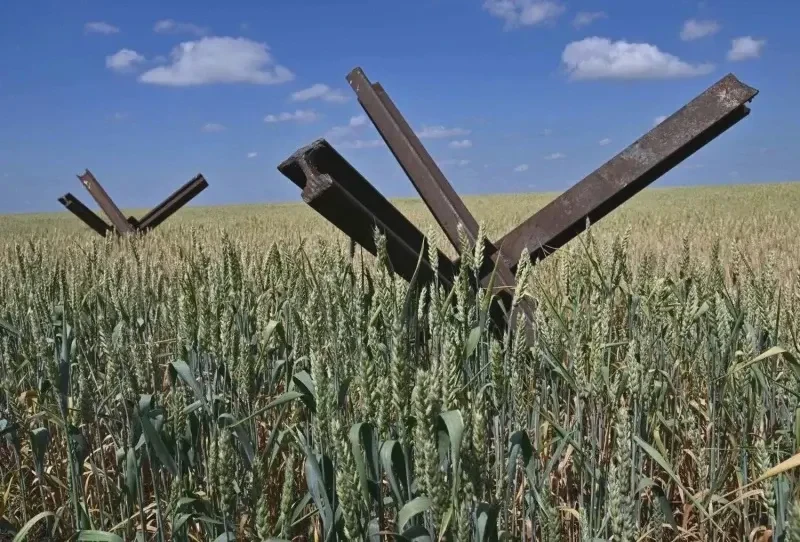 Anti-tank obstacles are shown on a wheat field in southern Ukraine's Mykolaiv region on June 11. Genya Savilov via AFP and Getty Images