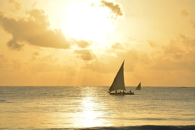 Credit: Tracy Anne Brooks via CC-BY-SA-4.0