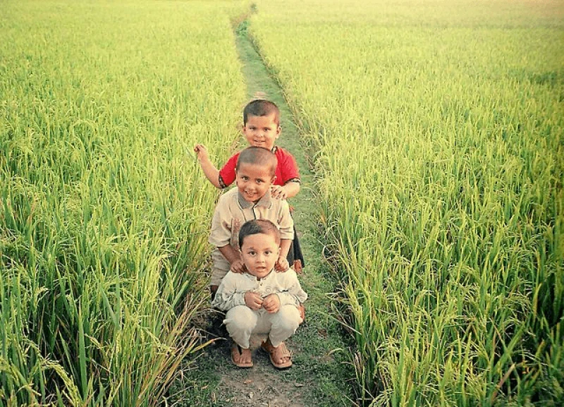 Credit: Rezwana nupur khaled via CC-BY-SA-3.0