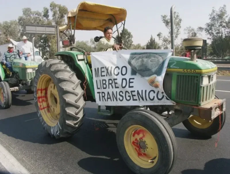 Credit: Enrique Pérez via S/ANEC