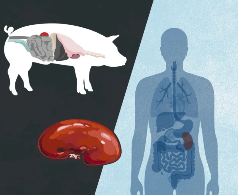 Credit: Washington Journal of Law, Technology & Arts