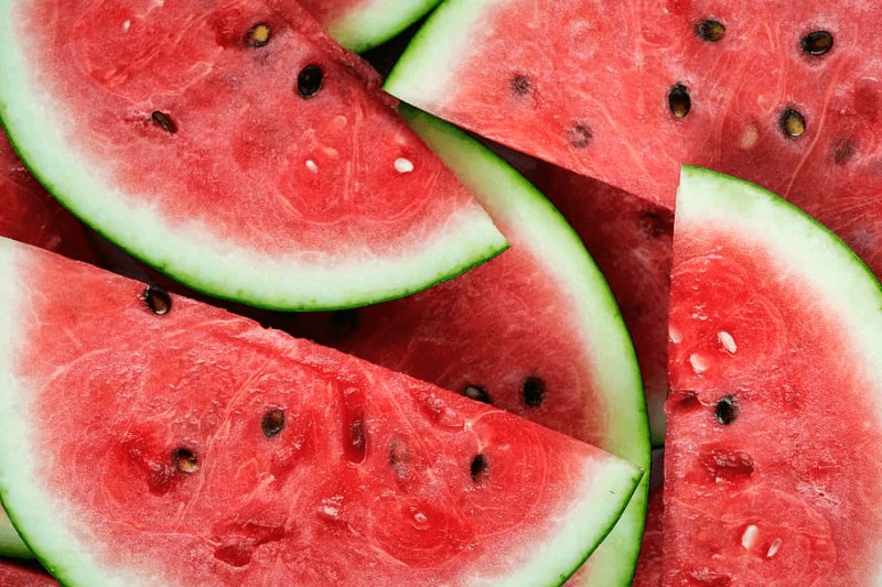 watermelon seed slice nature watermelon seed slice nature