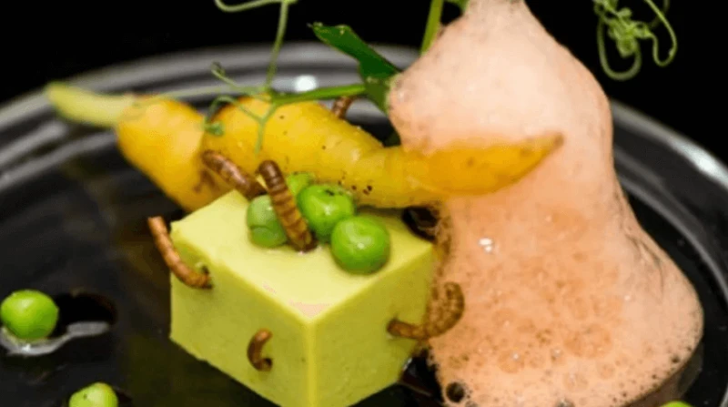 David Faure's "Small Square Peas and ecume of Carrots, Mealworms. Credit: Alternative Food