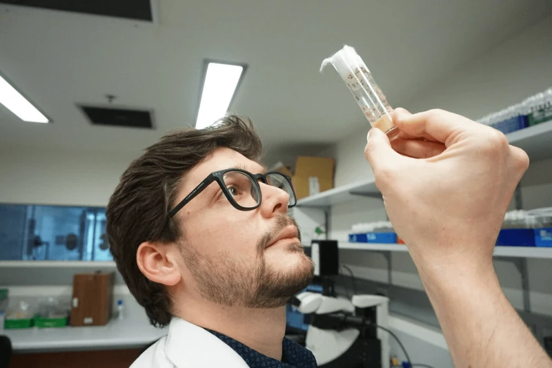 Credit: Florienne Loder, Bio21 Institute, the University of Melbourne