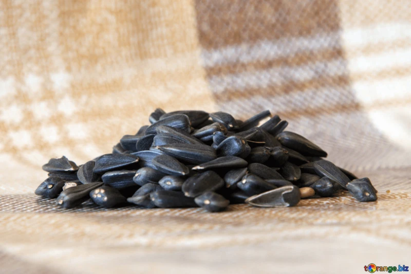 sunflower seeds gorka table