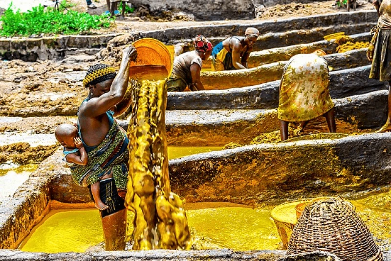 Credit: Fotokrafting via CC-BY-SA-4.0