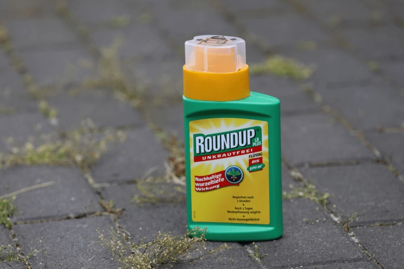 Credit: Tim Reckmann/Flickr (CC BY 2.0)