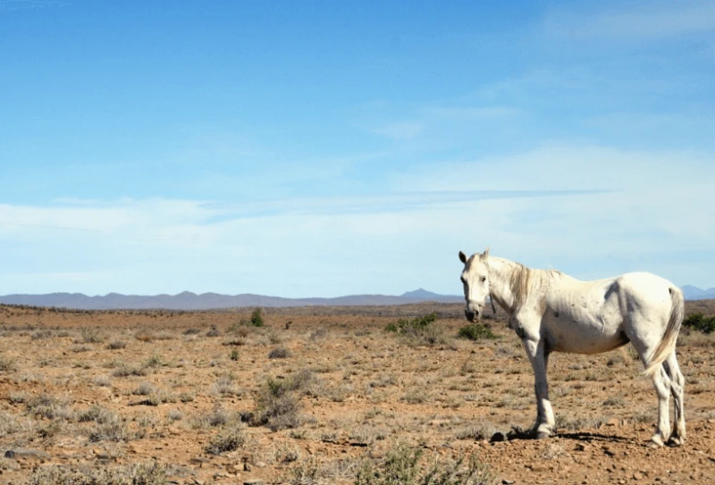 Credit: PxHere via CC0-1.0