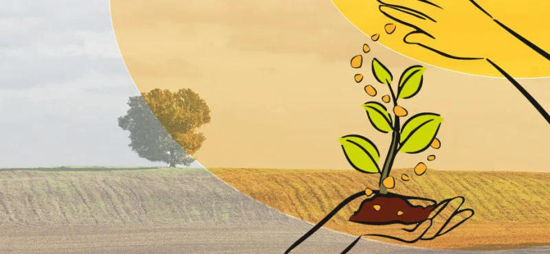 Rich countries and donors must reach a consensus on long-term financing for projects that boost developing countries’ capacities to produce food and fertilizer for themselves. Credit: FAO