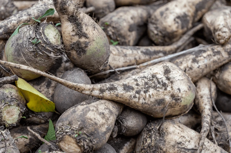 Credit: Marco Verch/Flickr CC BY 2.0