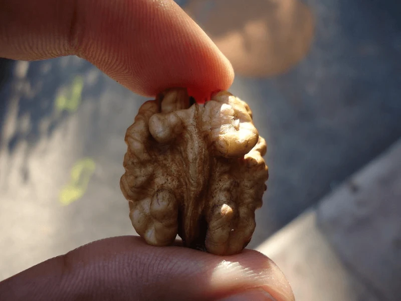 Credit: Shishir Gautam