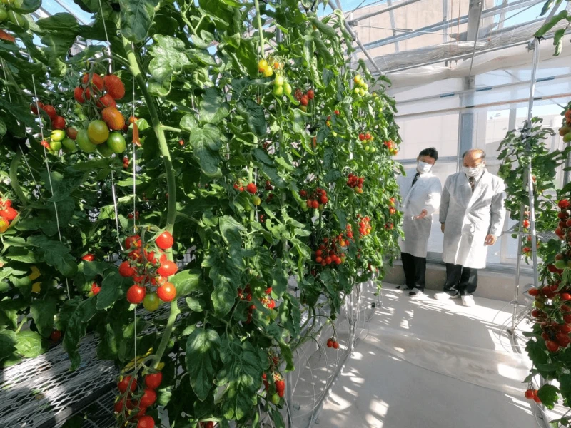 Credit: Japan Forward