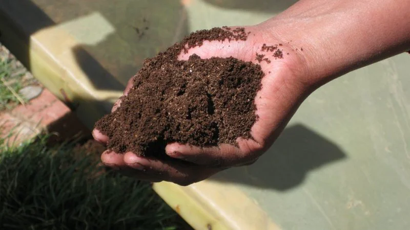 Human-Waste-Reuse-Solution-to-Growing-Sanitation-Problem Human-Waste-Reuse-Solution-to-Growing-Sanitation-Problem