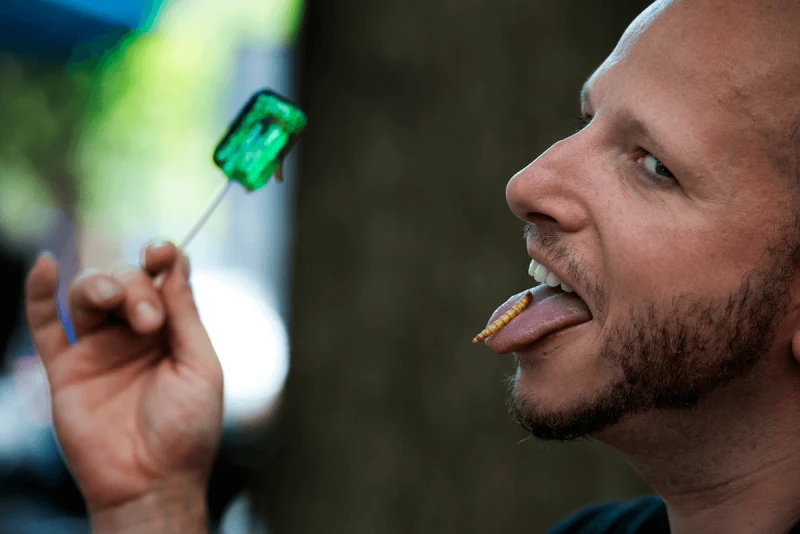 9382d8edc133c2b9b0c75717e0ce1d1ca627ef9e Brendan “Twig” Sheppard eats a roasted mealworm at a charity event in D.C. in 2014. Credit: Linda Davidson/The Washington Post