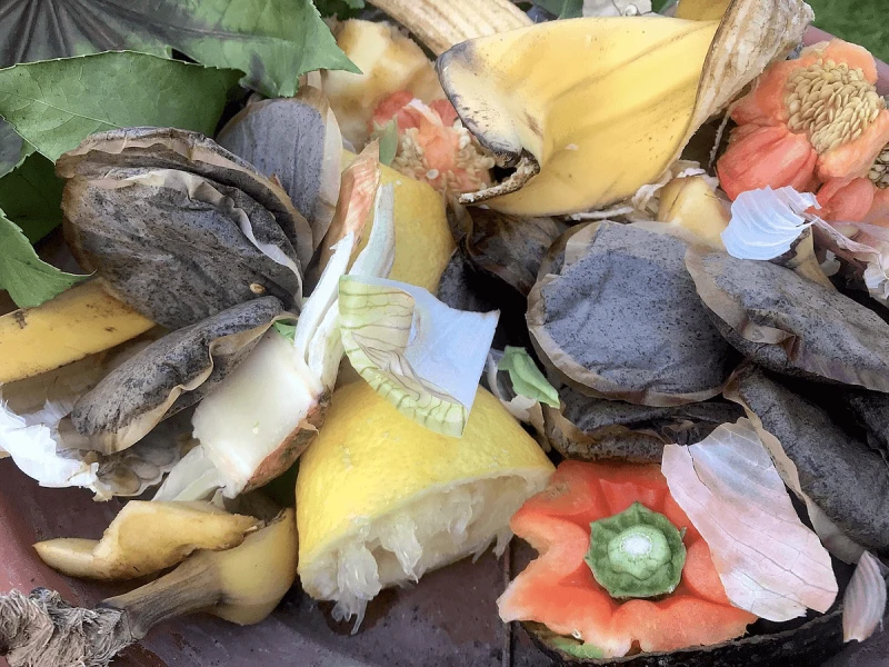 The negative effect of climate change and increase in the country’s population necessitates gene or genome editing. .Credit: Achim Raschka via CC-BY-SA-4.0