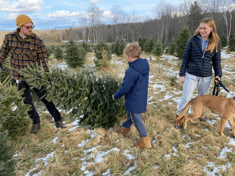 Credit: Colby Tree Farm via Facebook