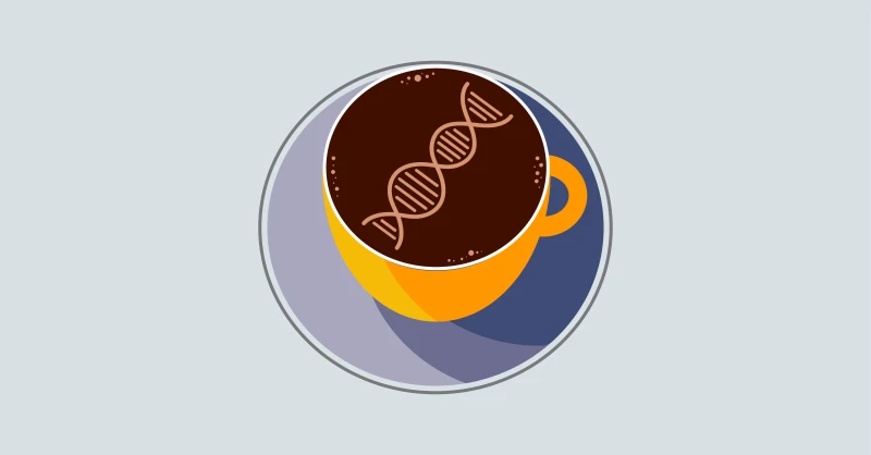 https a f fcdn sanity io fimages fg irbagy fproduction f f c ce ff d d c db e b ba dc ec a x