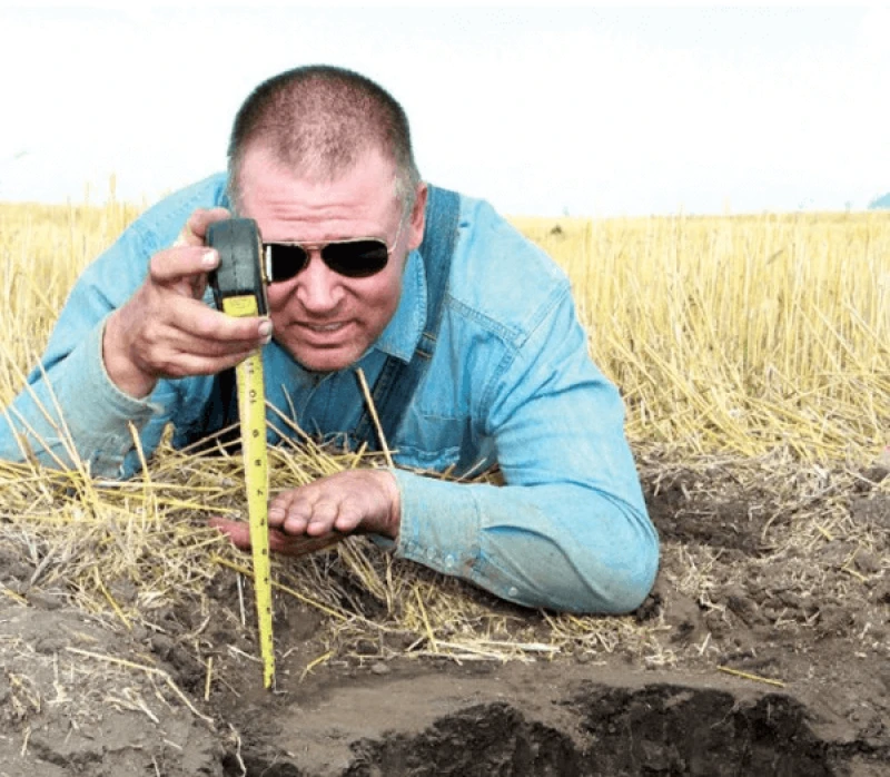 Credit: Sri-Till Farmer