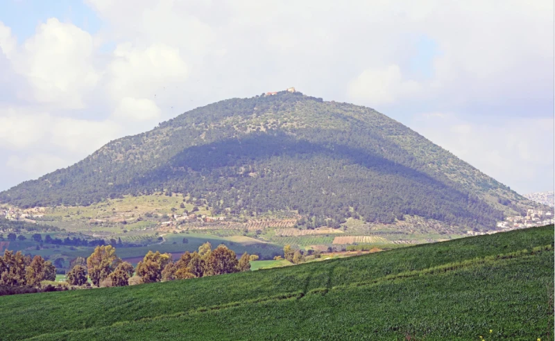 Screenshot 2025-08-27 at 11.59.56 AM Farm by Mount Tabor, Israel