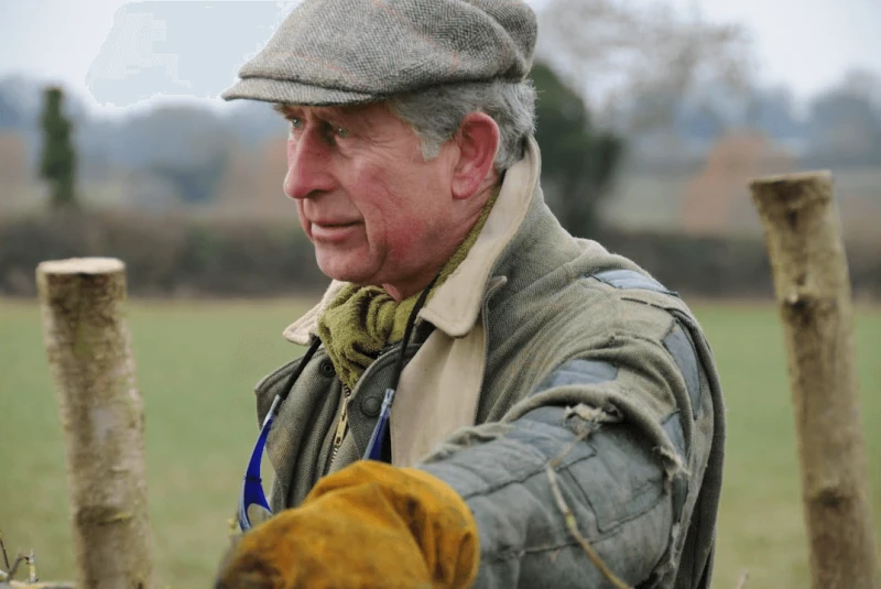 Credit: Denkmal Film