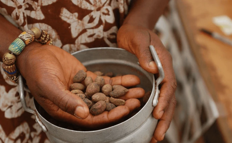 Credit: Modern Farmer