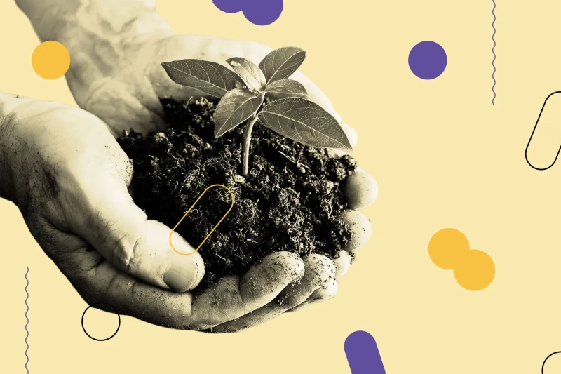 Credit: Popular Science