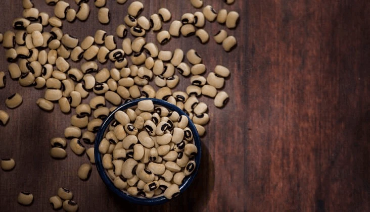 fgkx vrx amuaar e fgkx vrx amuaar e