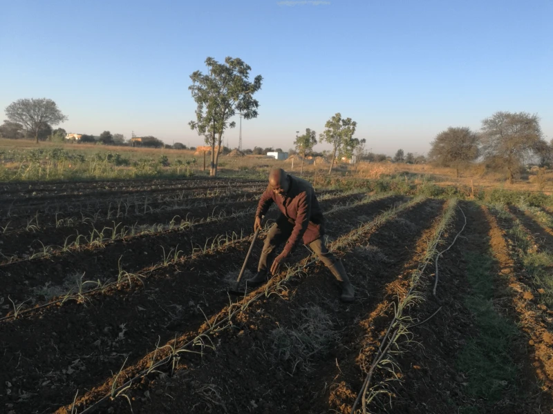 Terrain near Victoria Falls. Credit: Joachim Huber