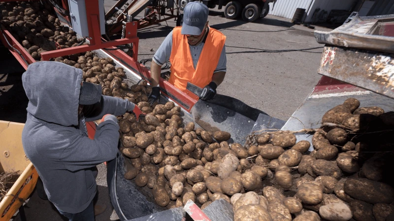 Credit: National Potato Council