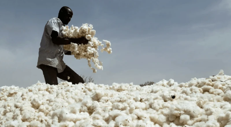 Credit: Luc Gnago/Reuters