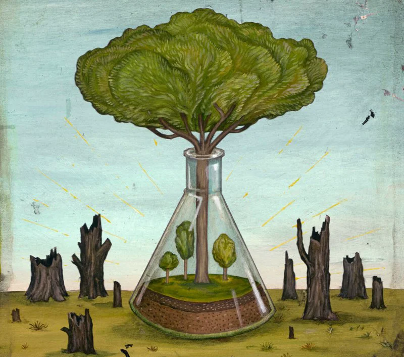 Credit: Jason Holley