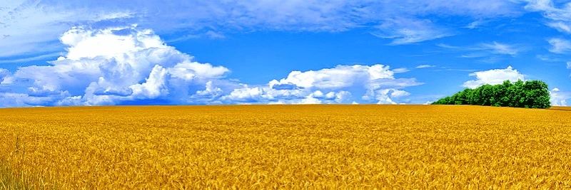 Credit: Сергей Марцынюк via CC-BY-SA-3.0