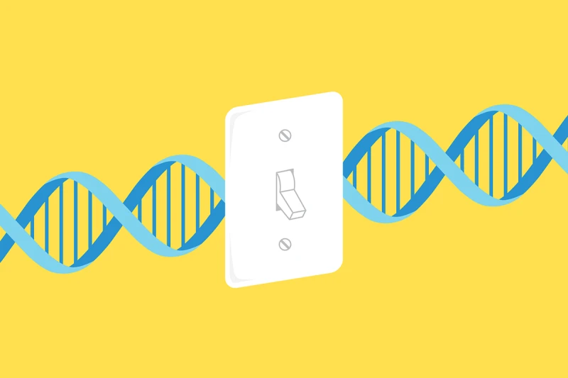 Credit: Washington University School of Medicine