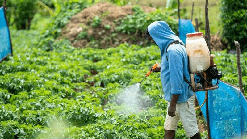 pesticides Credit: Medical Xpress