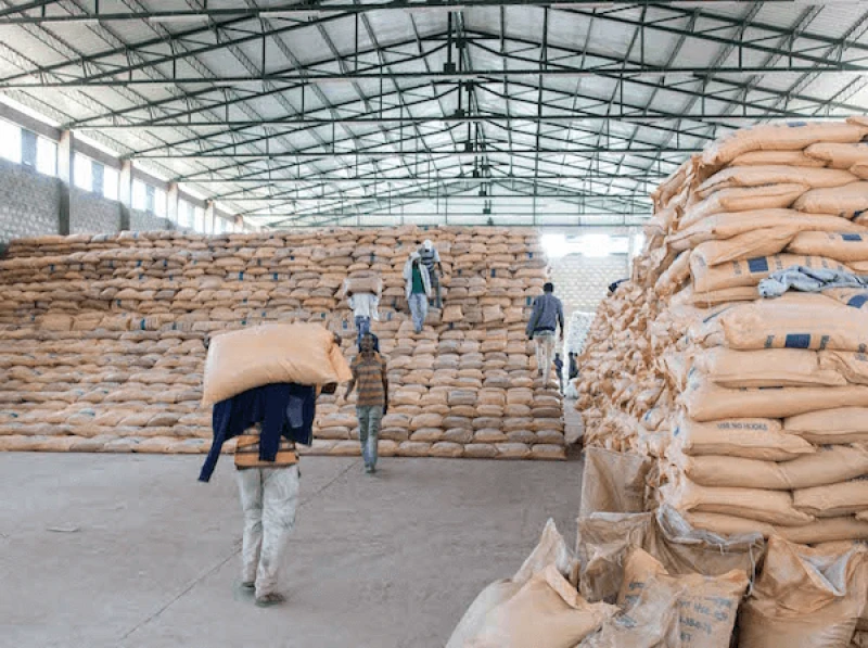 Credit: Synergos (CC BY 4.0)