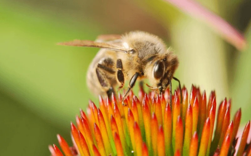 Credit: Stockvault and Pixabay via CC0-1.0