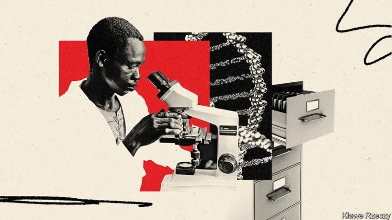 Sequencing a continent as large and biodiverse as Africa is a unique challenge. Credit: Klawe Rzeazy
